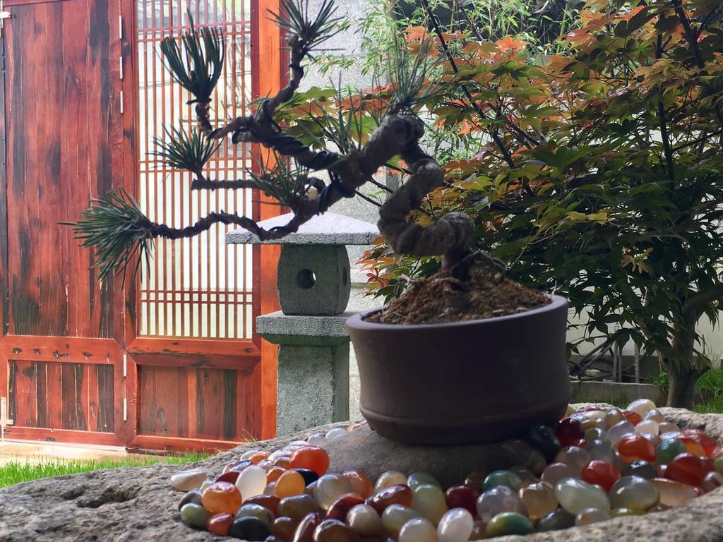Bo Nan Homestay Dali  Zewnętrze zdjęcie