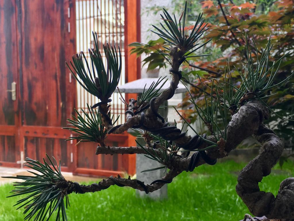 Bo Nan Homestay Dali  Zewnętrze zdjęcie
